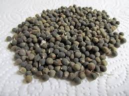 Bhindi Seed